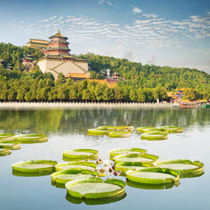Day Tour of Forbidden City & Summer Palace Tour