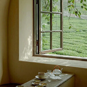 9-Day Best of Taiwan Tea Tour