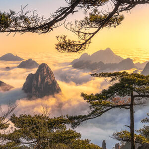 5-Day Hangzhou & Mt. Huangshan Tour