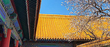 More secrets of ancient Chinese architecture styles: Insider tips for Western travelers