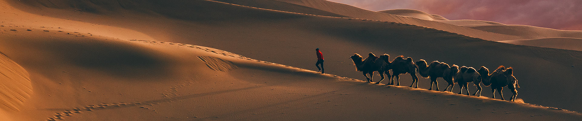 China Silk Road Tours