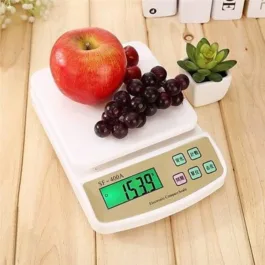 Portable Electronic Digital Weighing Scale Weight Machine (10 Kg)