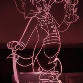 3D Illusion Acrylic Color Changing Kids Tom & Jerry shape LED Night LAMP