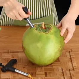 Coconut Opener Stainless Steel Puncher Open Coconut Hole Drill Tool for Straws (Black)