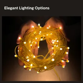 String Light for Decoration | Festival LED String Light for Home Decoration| Warm White, Pack of 1,