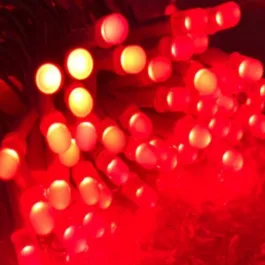 String Led 40 Led 10 Meter Corded Rice Lights for Decoration Indoor and Outdoor Lighting-Pack of 1 (Red)