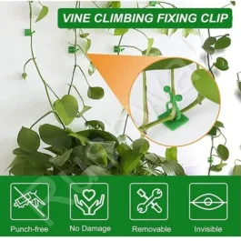 30pcs Plant Climbing Wall Clips Self-Adhesive Money, Vine Plant Climbing Fixing Clip Hook Invisible Plant Clips for Climbers Plant Wall Clips Plant Support Binding Clip